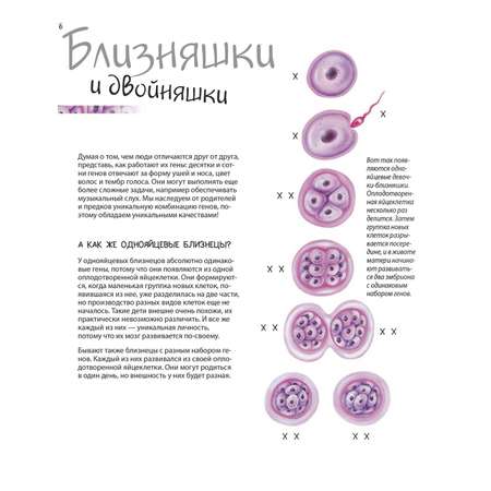 Книга ПИТЕР Удивительный мир генов Нескучная наука