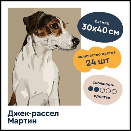 Картина по номерам Junion