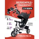 Трехколесный велосипед Velobibi