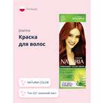 Краска для волос JOANNA Naturia color (тон 221) осенний лист