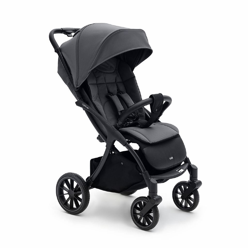 Коляска прогулочная agex All Road серый - фото 2