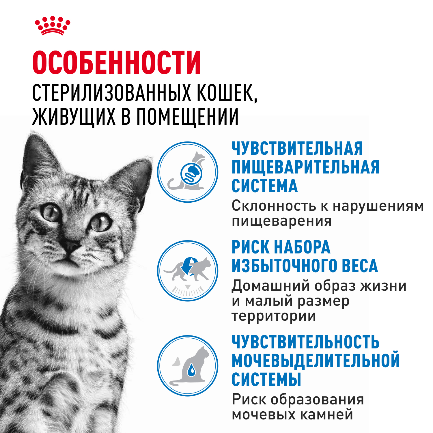 Корм для кошек ROYAL CANIN Indoor Sterilised для взрослых кастрированных и стерилизованных паштет 85г - фото 2