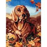 Набор для творчества Hobby Pro вышивание