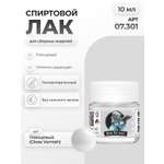 Спиртовой лак глянцевый для творчества Jim Scale Gloss Varnish 10мл