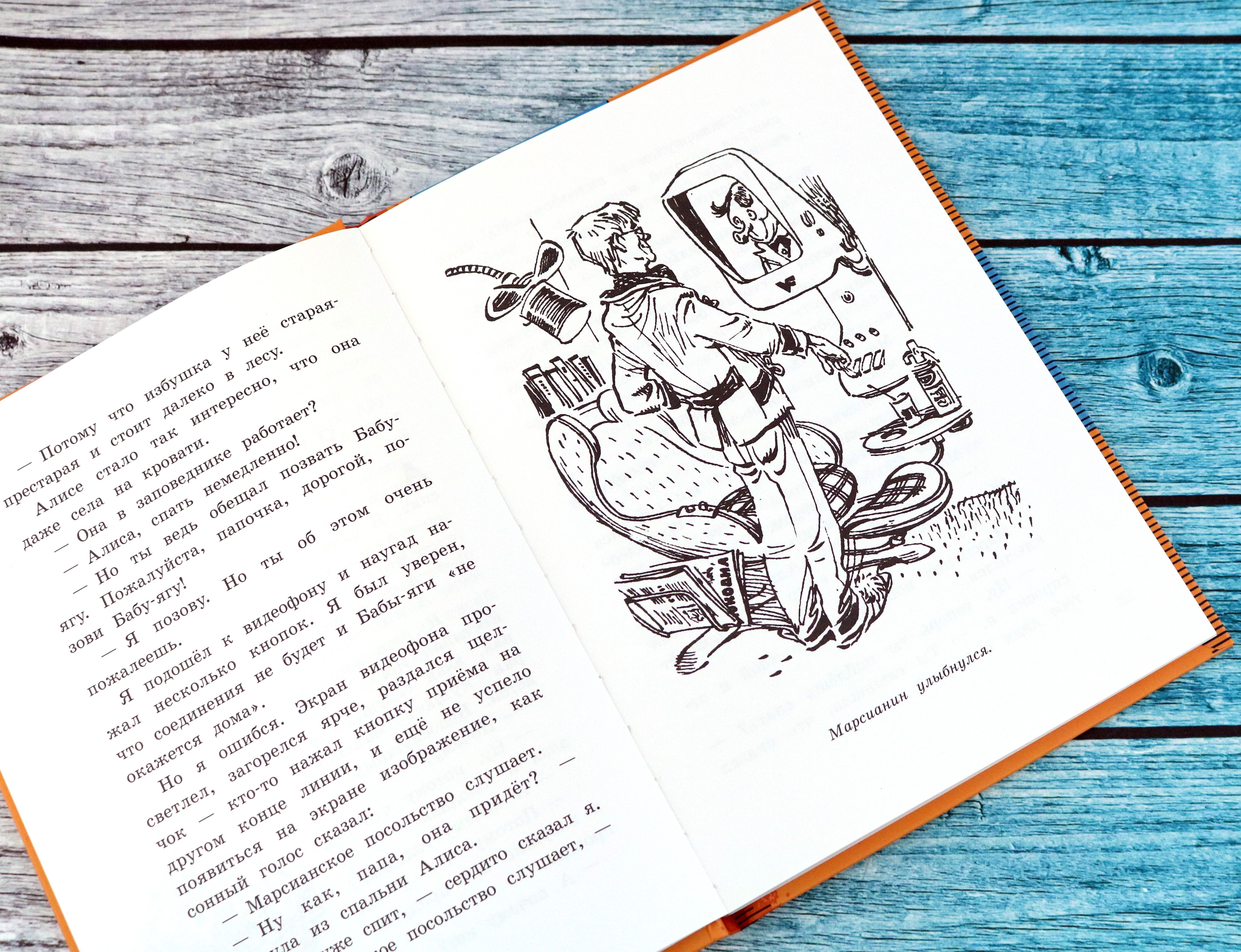 Книга Лабиринт Девочка, с которой ничего не случится - фото 10