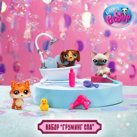 Игровой набор Littlest Pet Shop