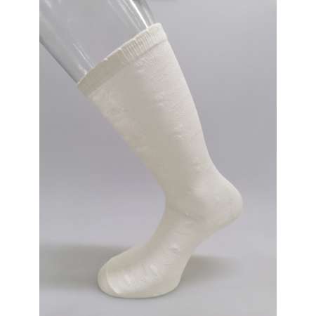 Гольфы 2 пары Master Socks