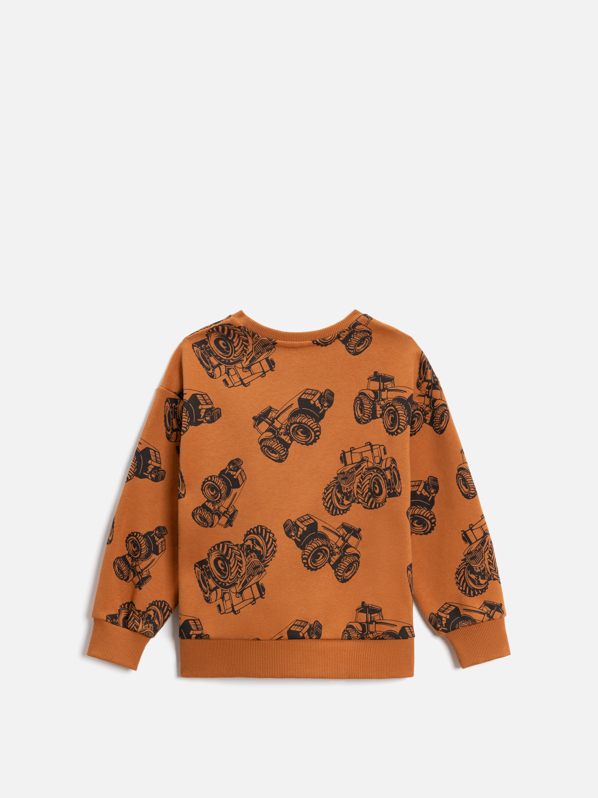 Свитшот Acoola 20120170194_0092500 - фото 5