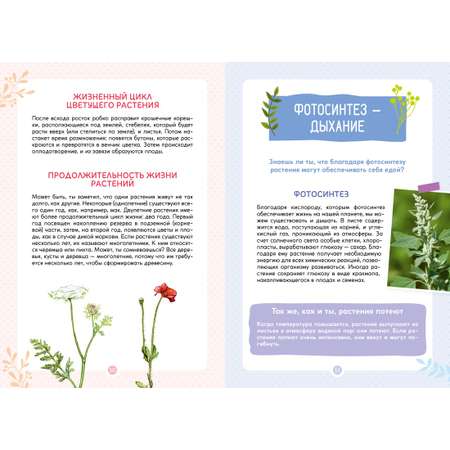 Книга Махаон Франсуа Куплан , Роберт Каплан. Растения вокруг нас