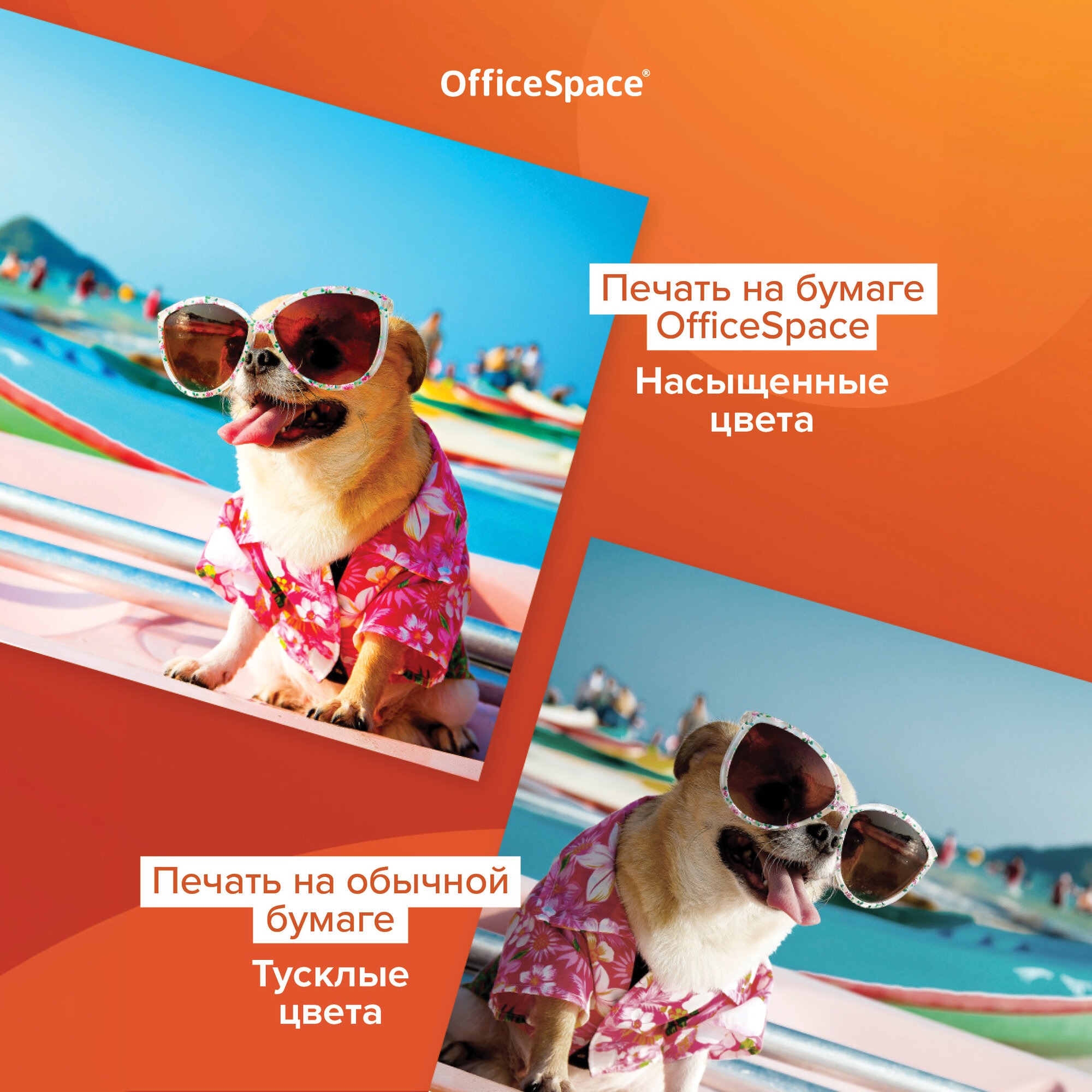 Бумага офисная OfficeSpace 50 лист. - фото 6