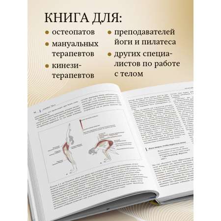 Книга Эксмо Функциональная анатомия движения. Руководство по анализу биомеханики