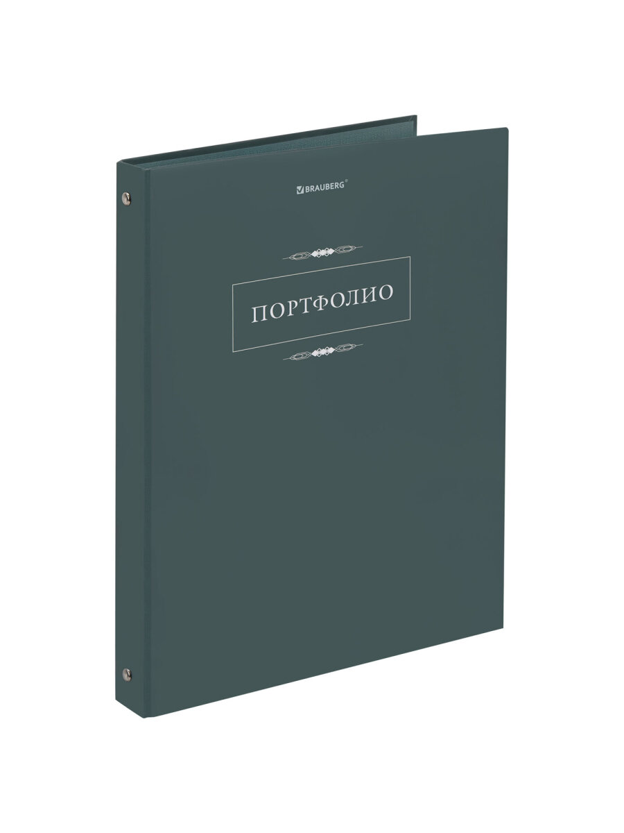 Портфолио школьника Brauberg папка А4 на кольцах 20 файлов для девочки и мальчика - фото 4