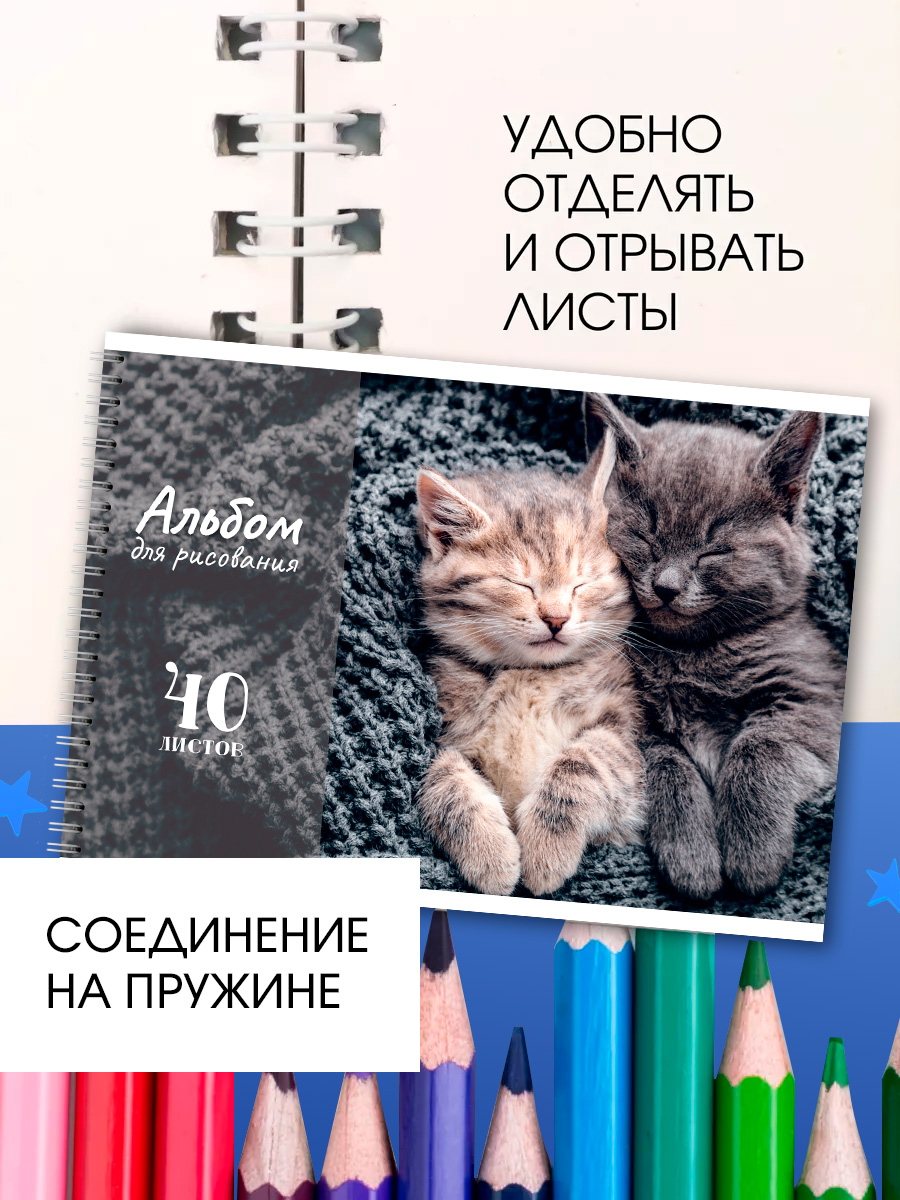 Альбом AXLER А4 40 лист. 2 шт. - фото 3