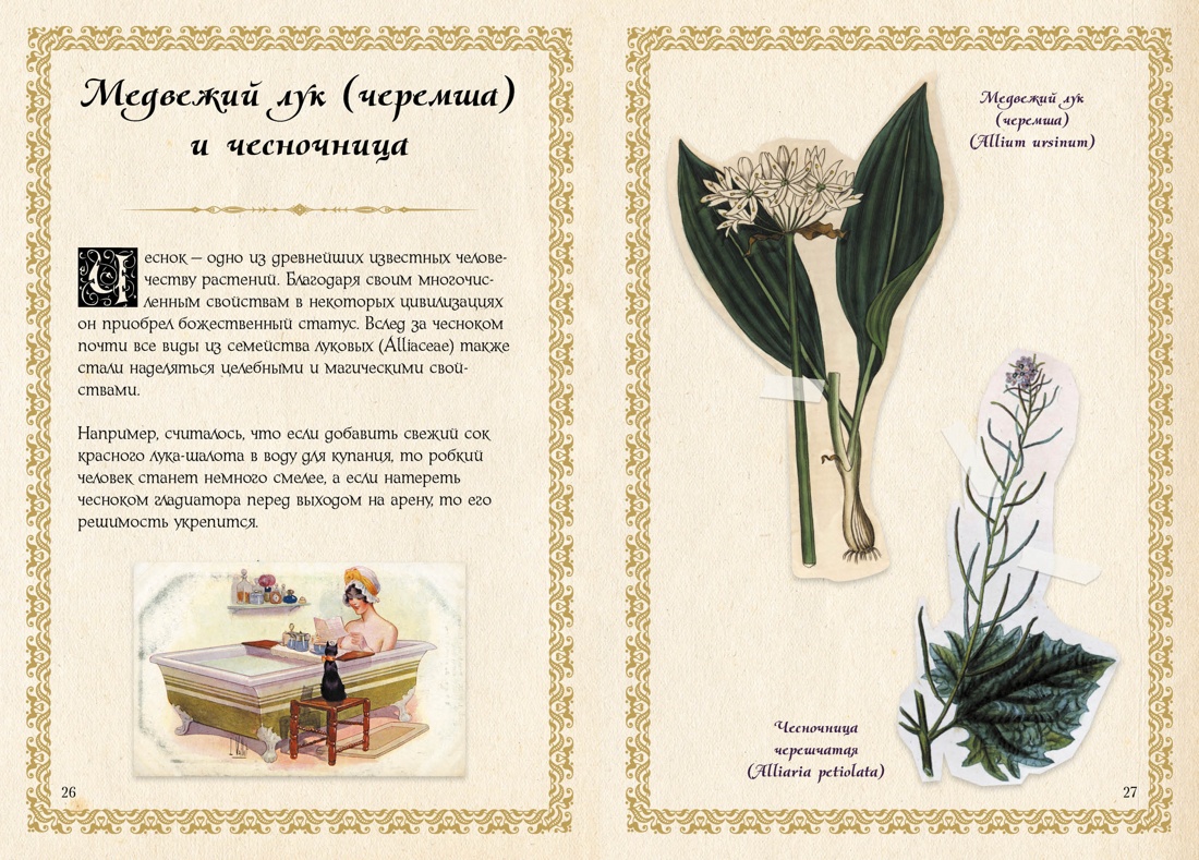 Книга КОЛИБРИ Лаис Э. Маленький гримуар ведьмы. Зелья и волшебные травы - фото 8