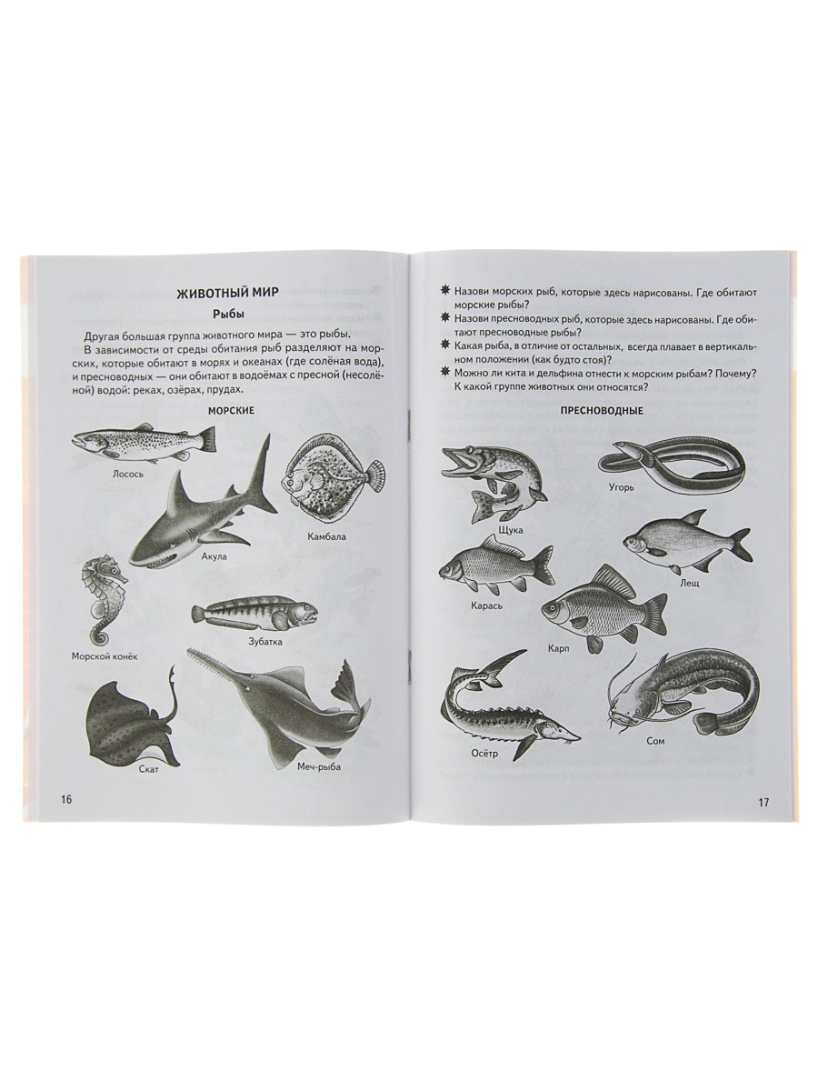 Рабочая тетрадь Литур Знакомимся с окружающим миром 5-6 лет - фото 17