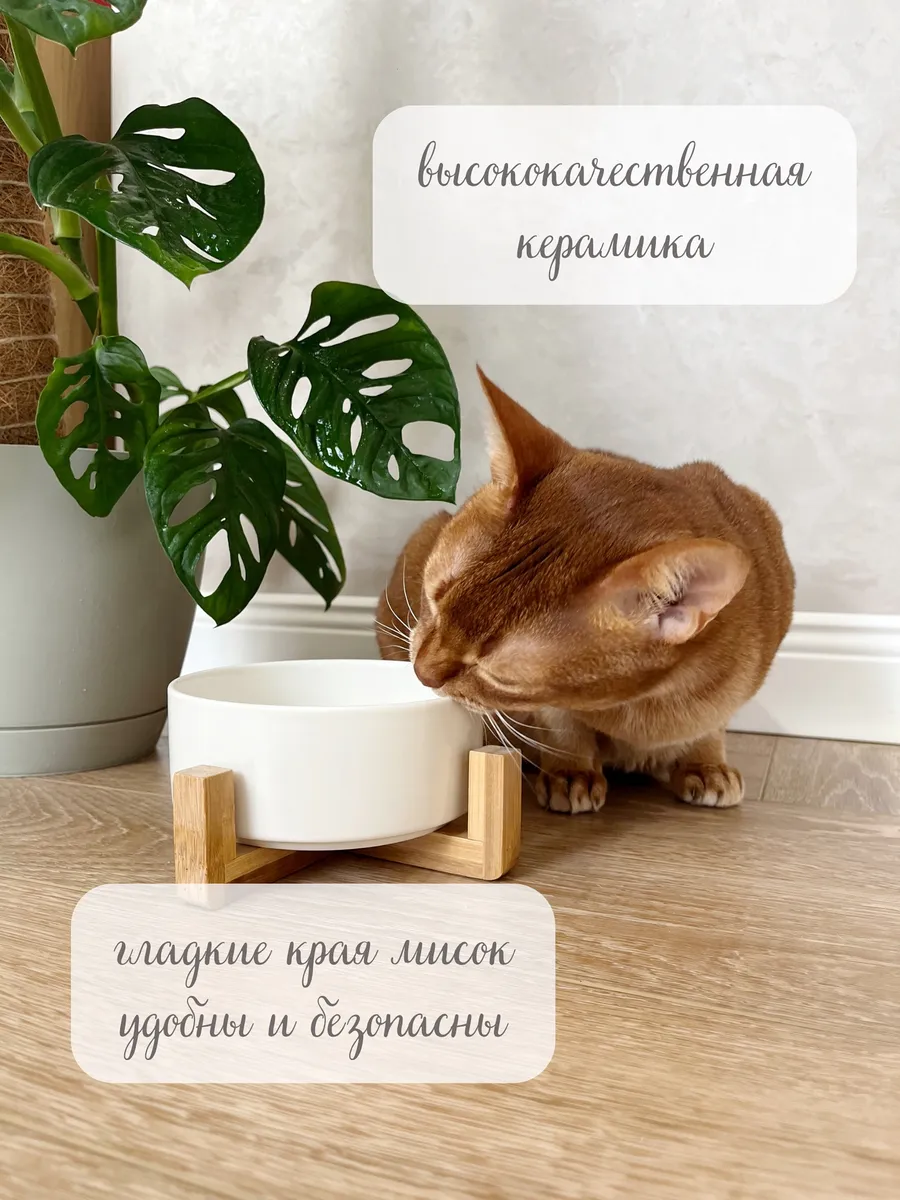 Миска для кошек и собак Qalla на подставке - фото 4