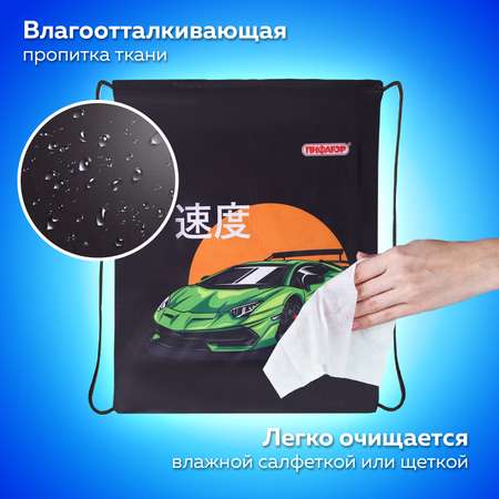Мешок для обуви Пифагор