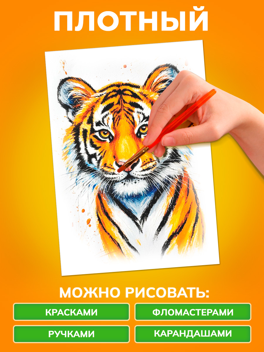 Белый картон Prof-Press для графики 50 лист. - фото 2