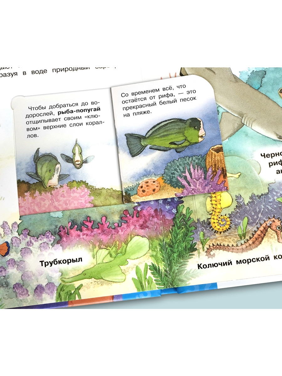 Книга Омега-Пресс Энциклопедия для детей с окошками Мир морских животных - фото 14