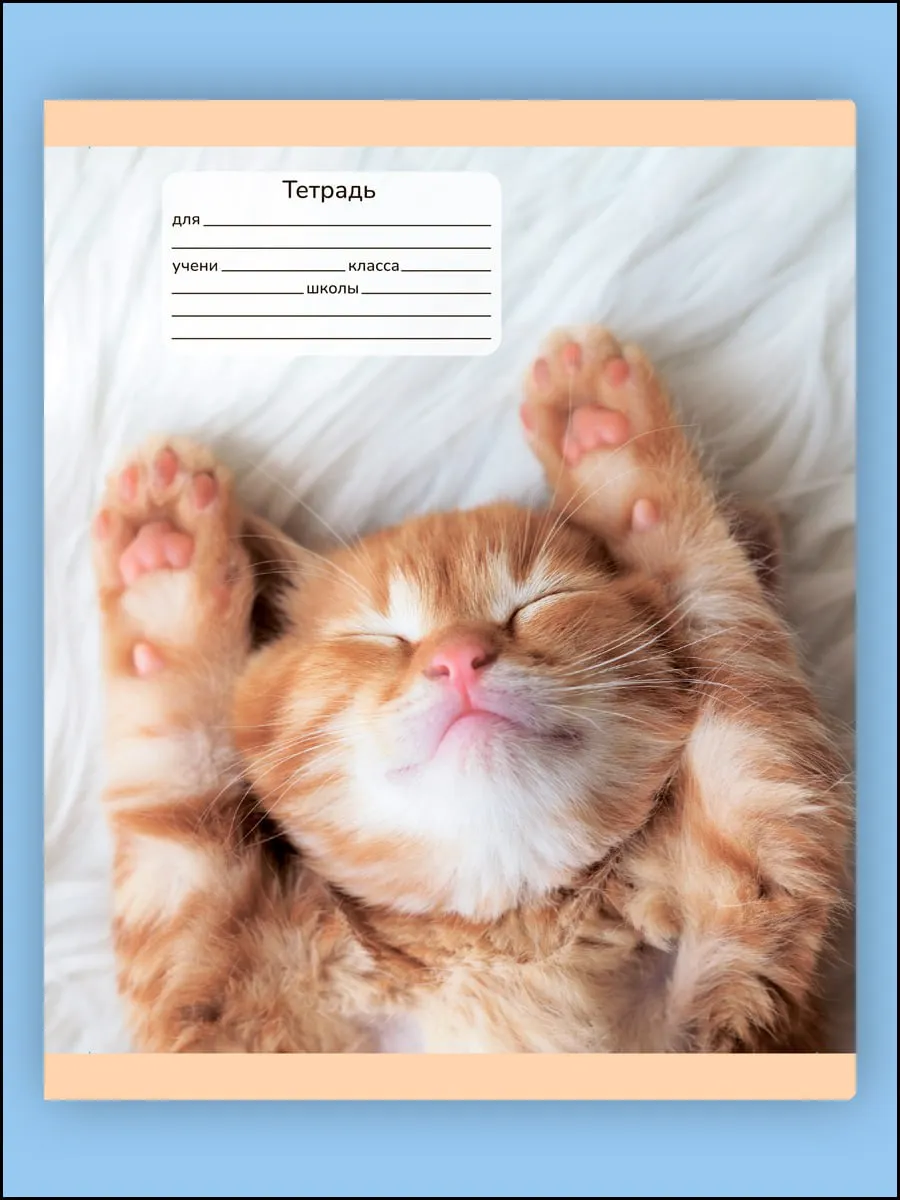 Тетрадь AXLER клетка 12 лист. 10 шт. - фото 4