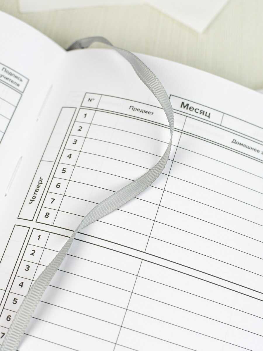 Дневник школьный Феникс + СЕРДЦЕ СЕРОЕ - фото 13