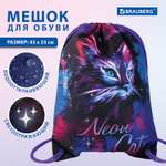 Мешок для обуви Brauberg