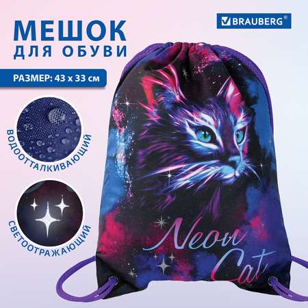 Мешок для обуви Brauberg