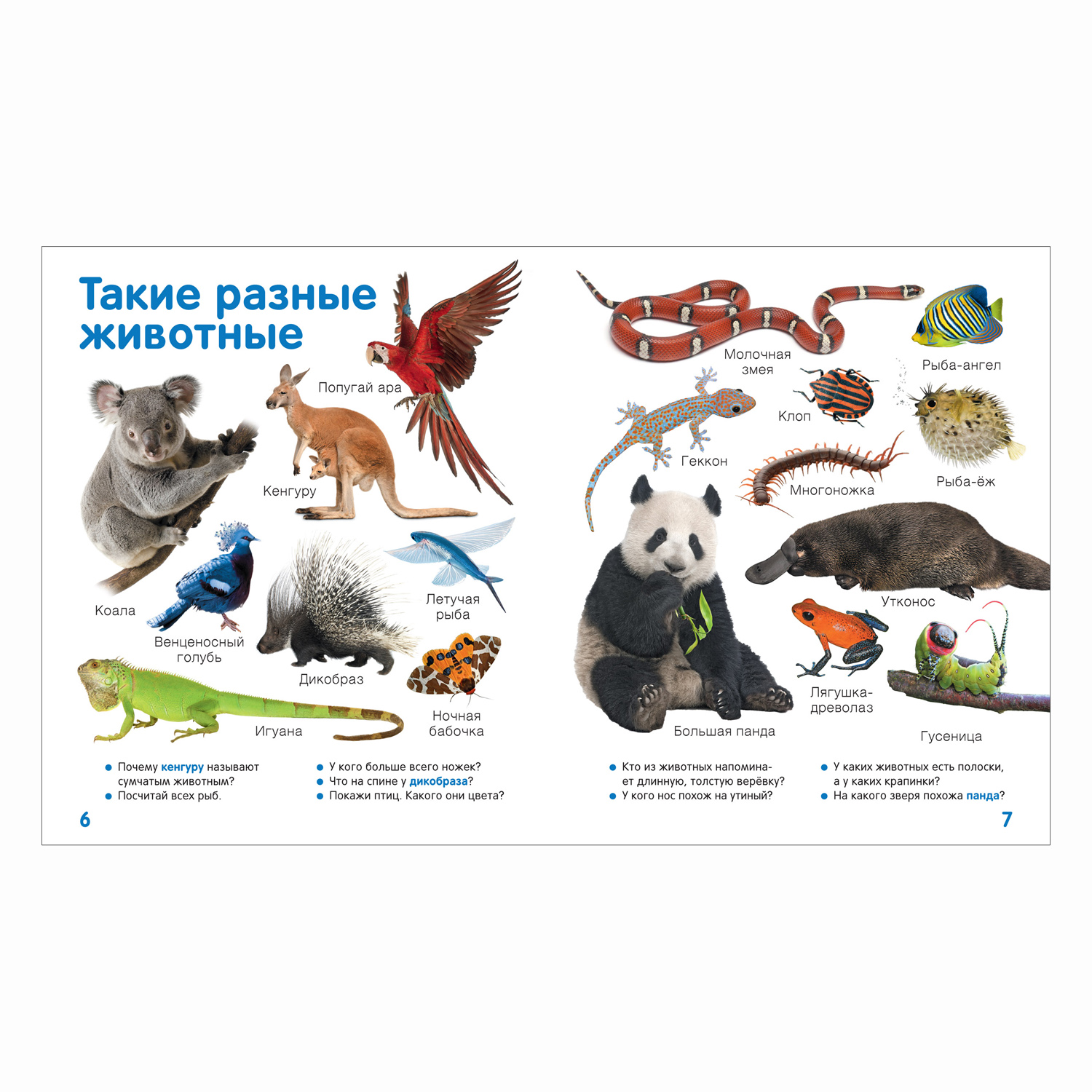 Книга Росмэн Первая книга малыша Энциклопедия 1000 картинок - фото 3