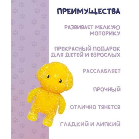 Сквиш КАМЕЛИЯ