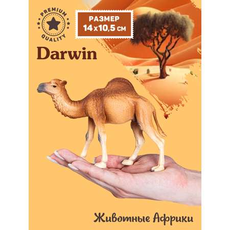Фигурка DARWIN Животные Одногорбый верблюд