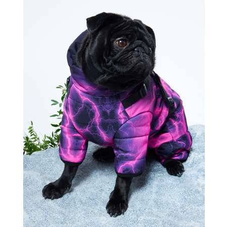 Комбинезон для собак и кошек Зоозавр