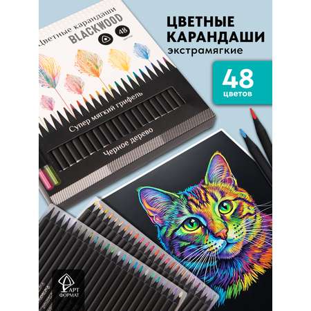 Карандаши цветные АРТформат 48 шт.