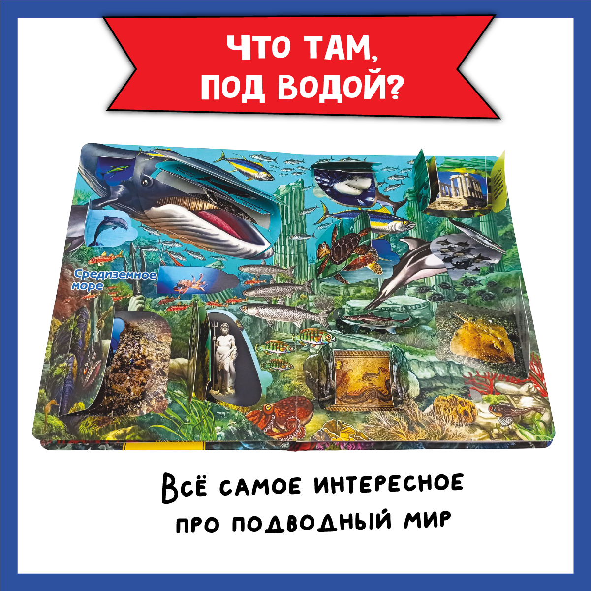 Детские книги БимБиМон Набор энциклопедий про машины и водный мир - фото 3