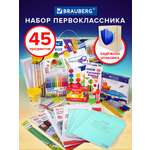 Набор школьника Brauberg 45 предм.