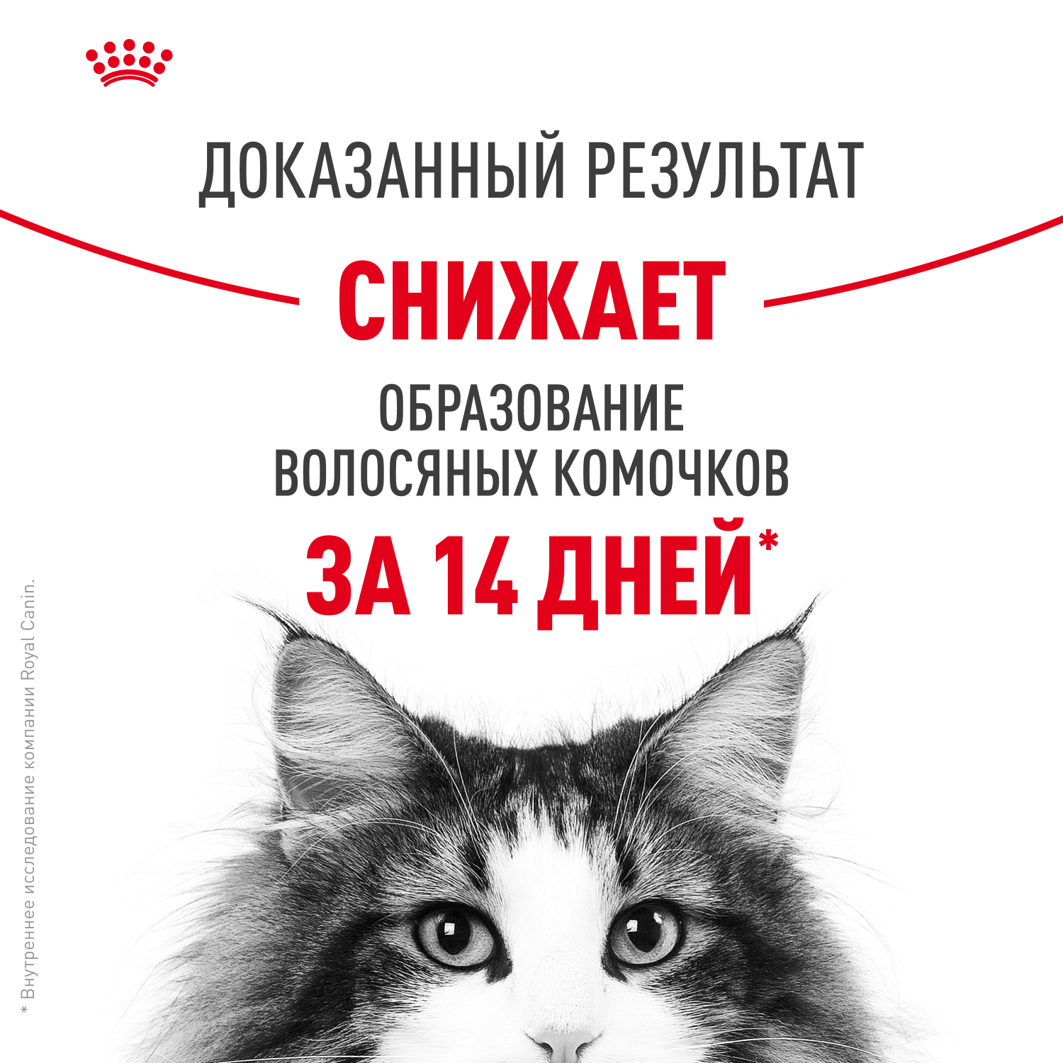 Корм для кошек ROYAL CANIN Hairball care для снижения риска образования волосяных комочков 85г - фото 11