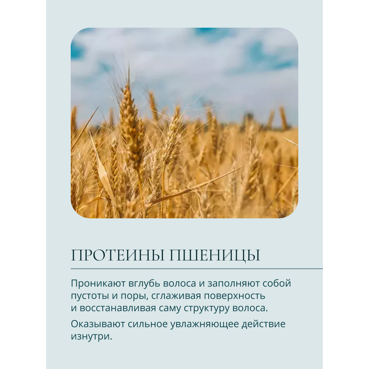 Шампунь Baby Balance 250 мл - фото 8