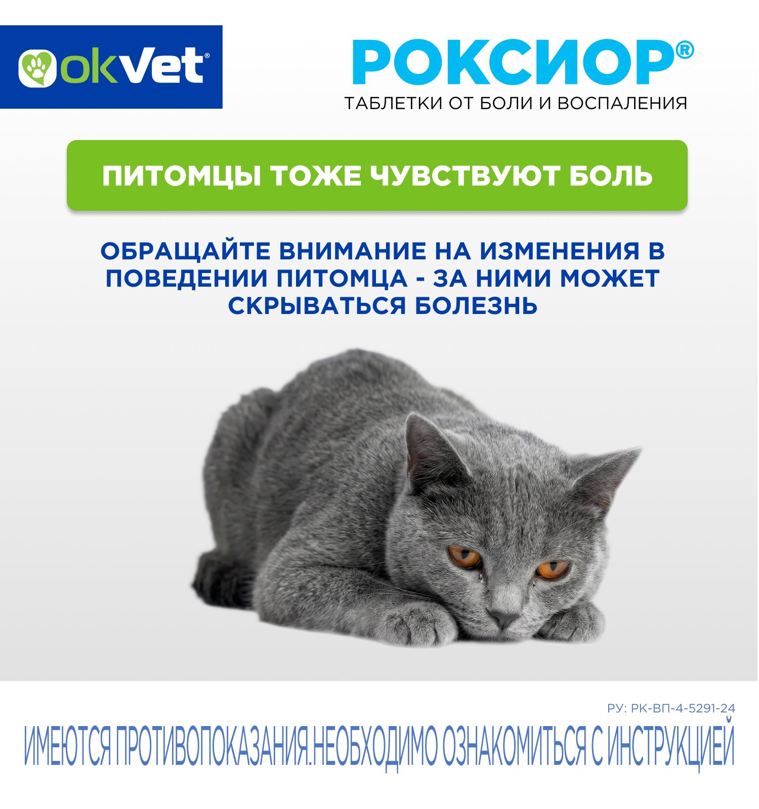 Таблетки для кошек Okvet Роксиор противовоспалительный лекарственный препарат 6мг 10 таблеток - фото 7