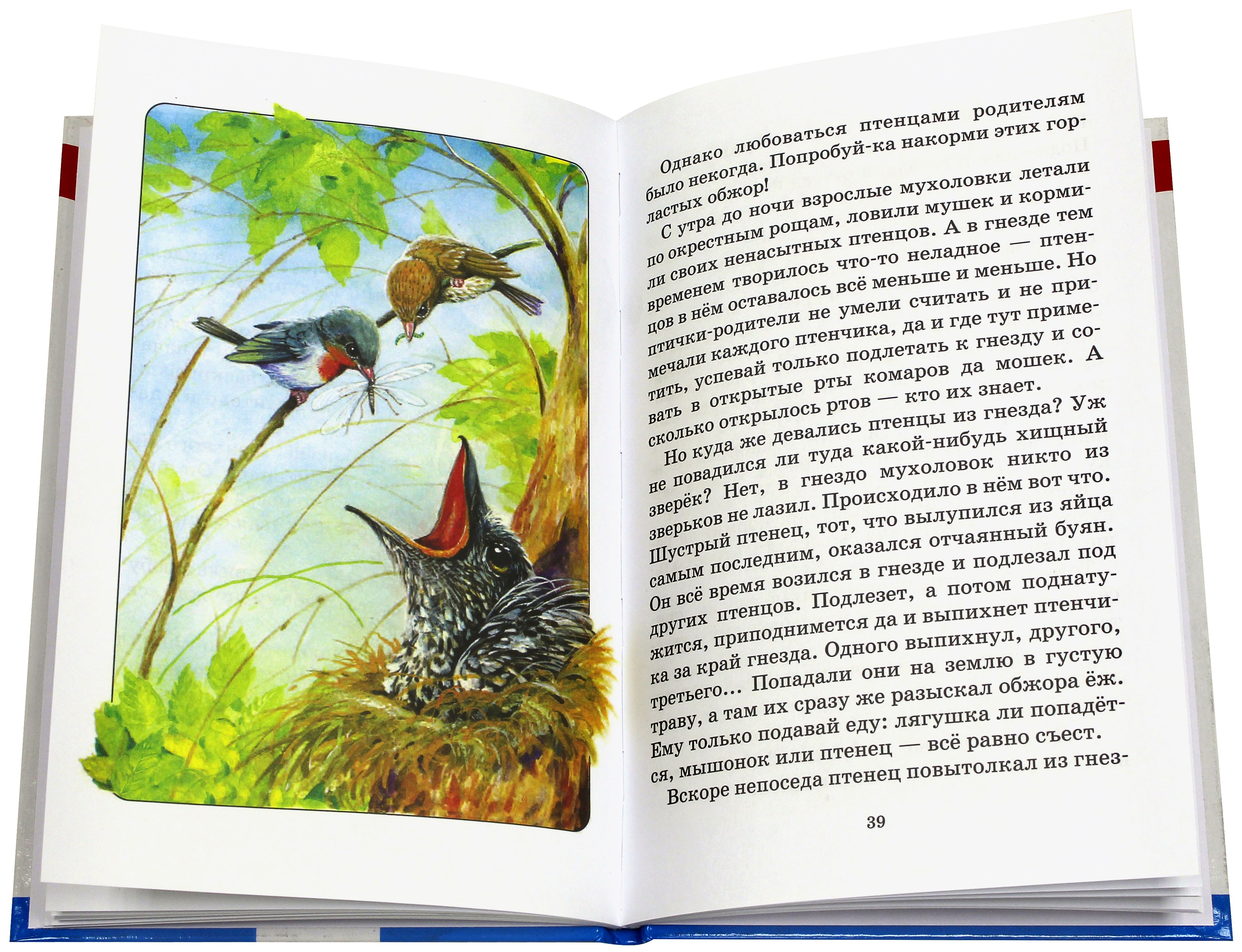 Книга СТРЕКОЗА Сказки следопыта - фото 2