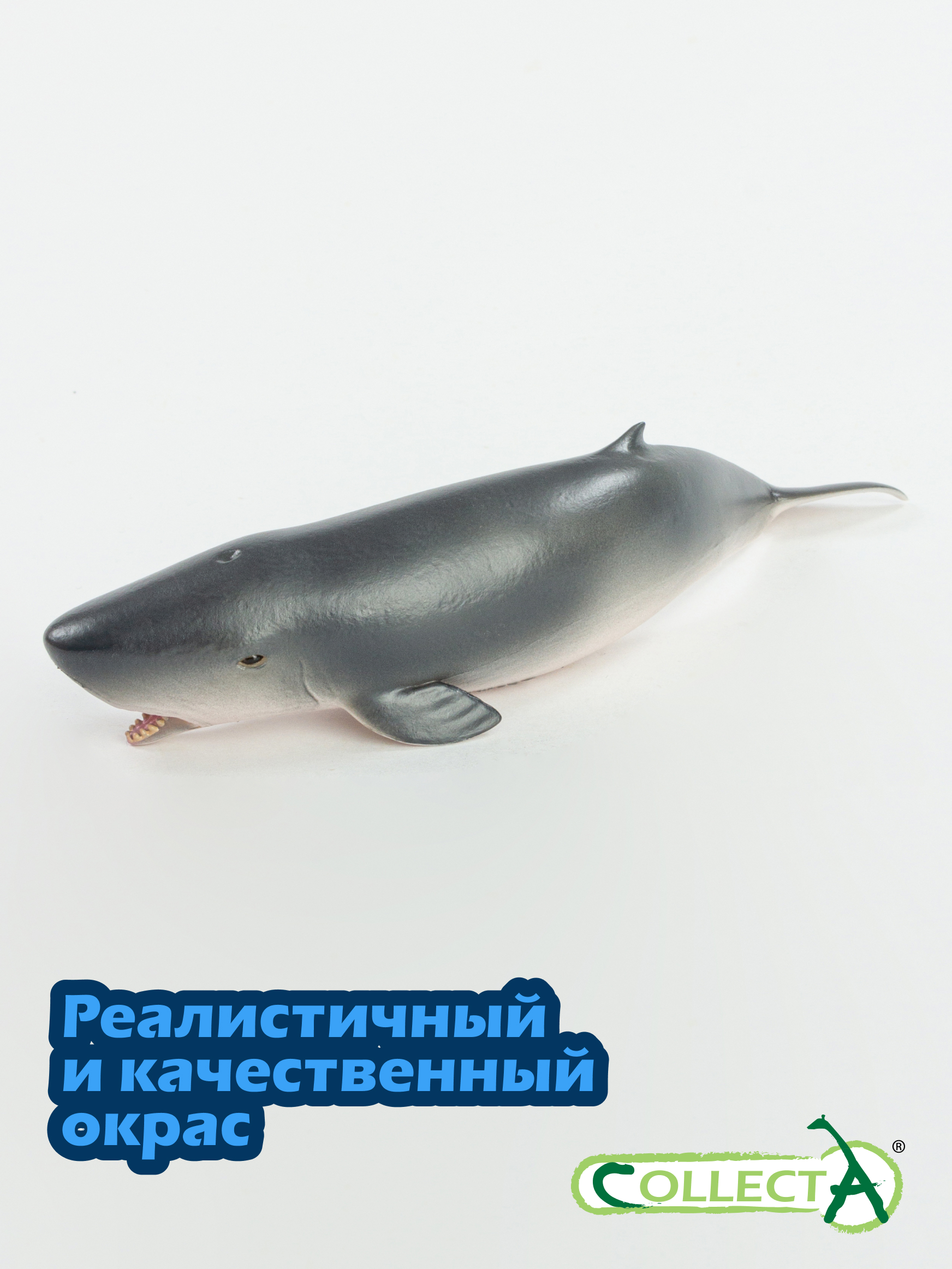 Фигурка Collecta Карликовый кашалот - фото 4