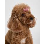 Заколки для собак и кошек Зоозавр