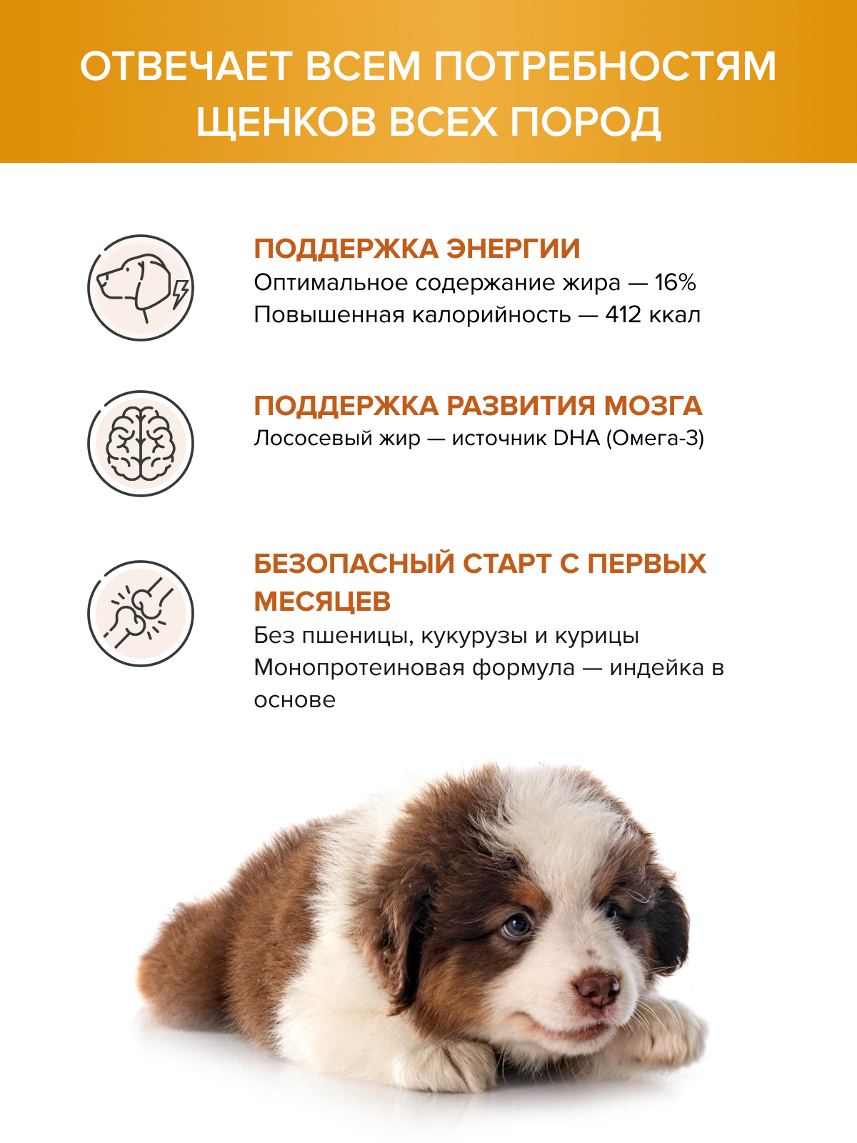 Корм для щенков DOCTRINE сухой с индейкой и рисом 3 кг - фото 2