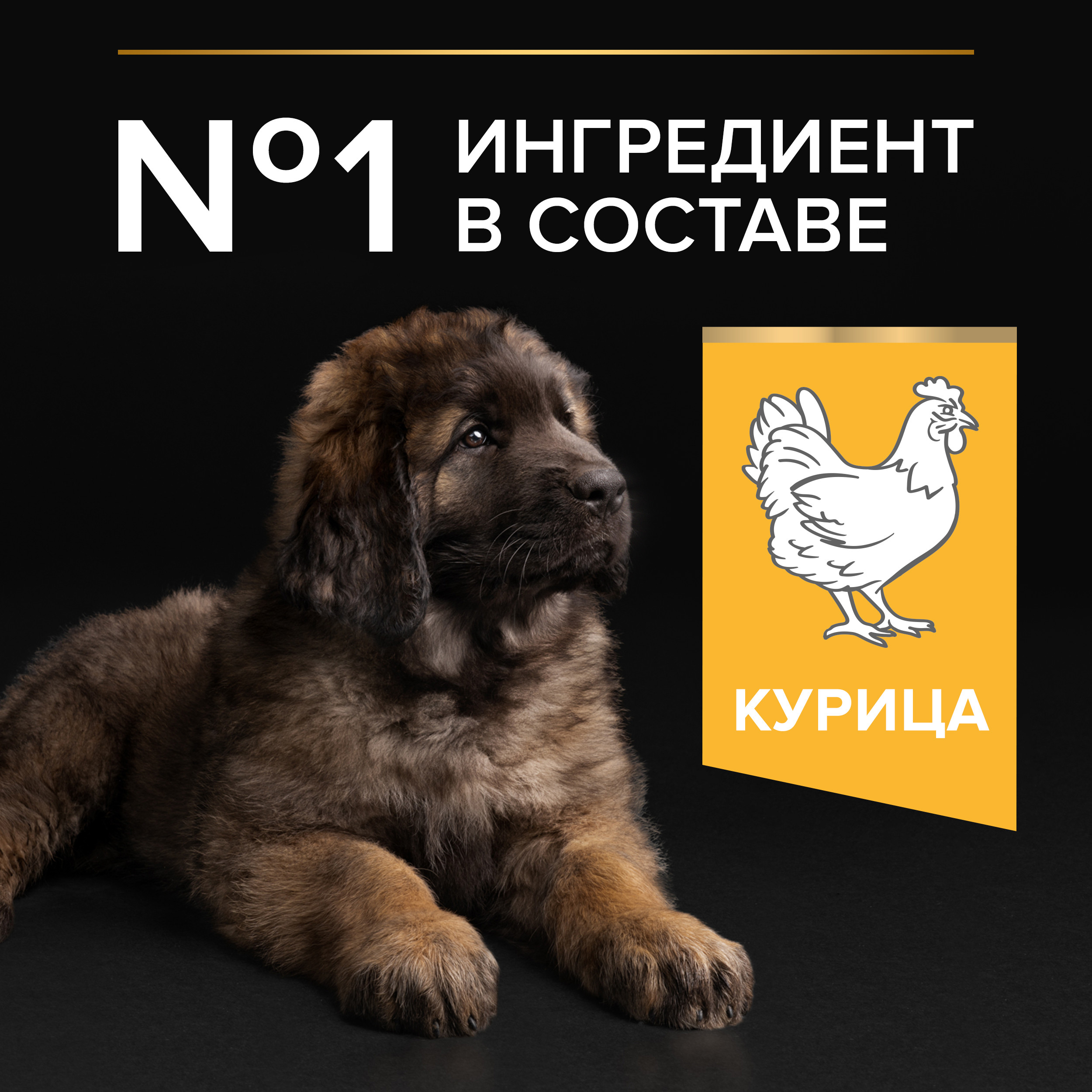 Корм для щенков PRO PLAN крупных пород с мощным телосложением с комплексом Optistart курица с рисом 12кг - фото 9