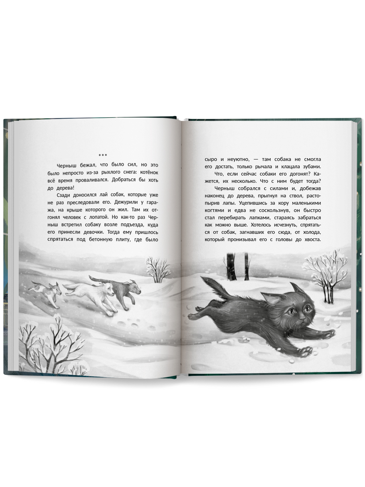 Книга Феникс Премьер Счастье за дверью - фото 7