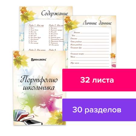 Папка-портфолио Brauberg