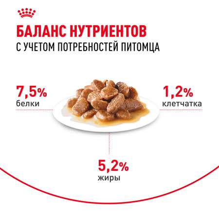Корм для собак ROYAL CANIN Adult мелких размеров от 10 месяцев кусочки в соусе пауч 85г
