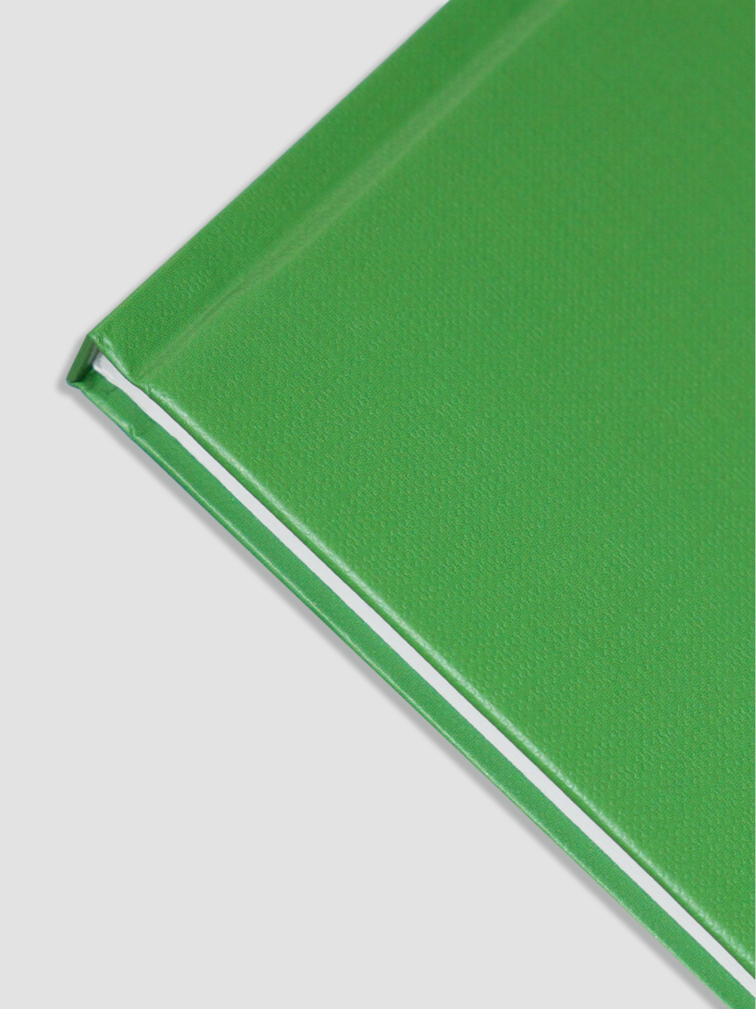 Блокнот Проф-Пресс в линию 13х21 Classic. Зелёный 64 лист. - фото 6