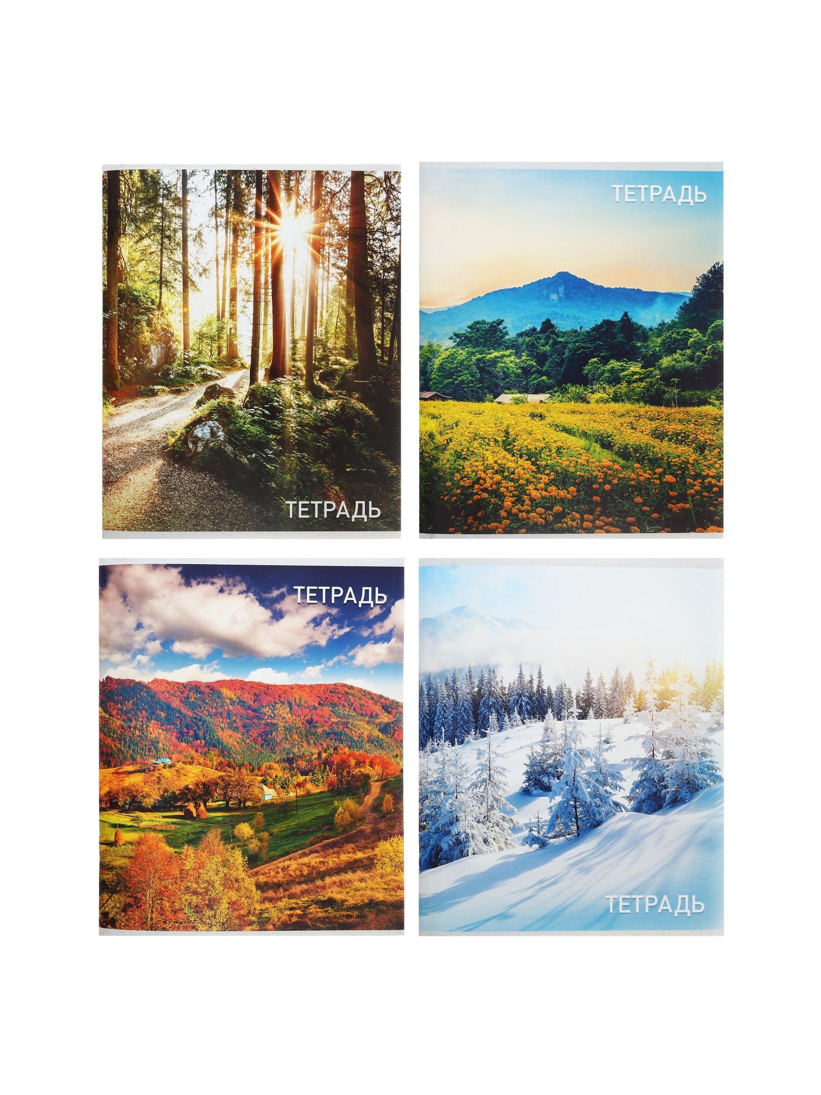 Тетрадь Calligrata клетка - фото 5