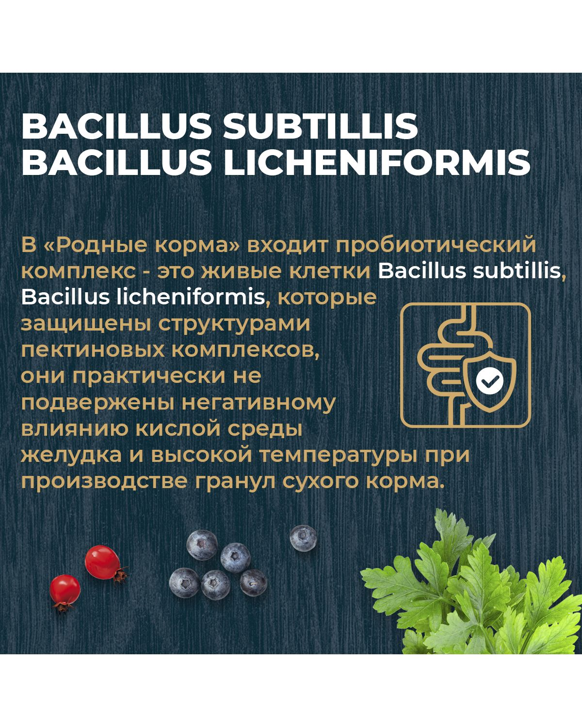 Сухой корм для взрослых кошек Родные корма полнорационный 1.5кг с курицей и ягодами - фото 5