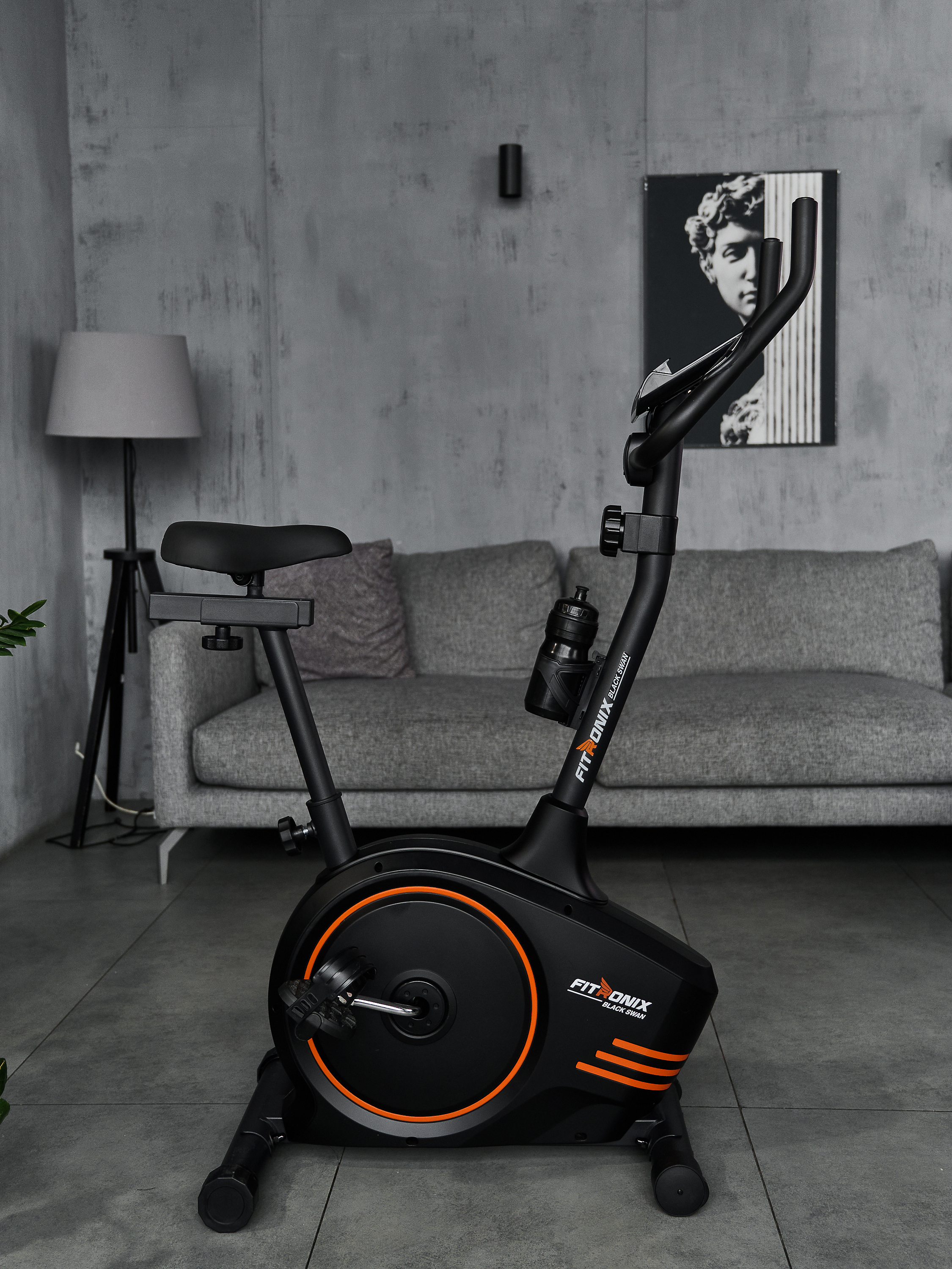 Велотренажер магнитный Fitronix Black SWAN - фото 1