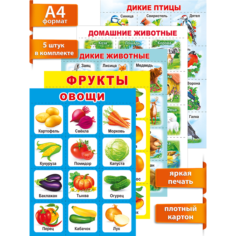 Набор обучающих плакатов Мир поздравлений окружающий мир - фото 1